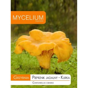 Seene seemned – söödav kärbseseen, 10 g