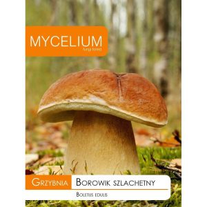 Seene seemned – tõrkmetsaseen, 10 g