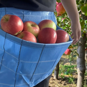 Ees taskuga põll, puuviljade ja köögiviljade jaoks