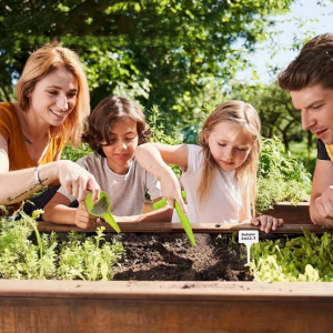 Külvikomplekt – mullaaaukude tegemise tööriist (soovitud sügavusele) ja seemnete dooser