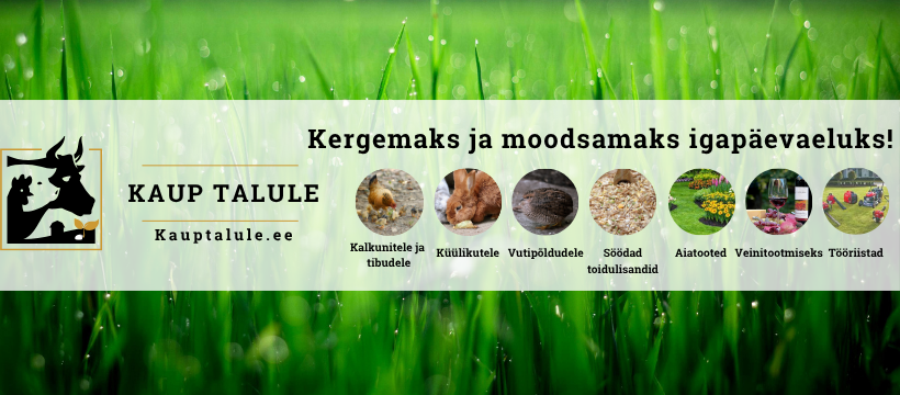 Kauptalule - Kergemaks ja moodsamaks igapäevaeluks!