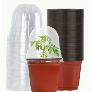 Taime paljundamiseks ja kasvatamiseks mõeldud anum kaanega