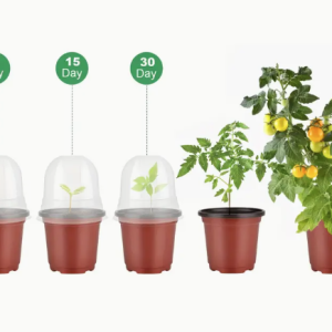 Taime paljundamiseks ja kasvatamiseks mõeldud anum kaanega