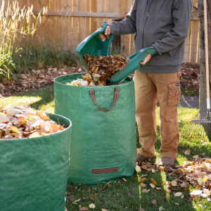 Lehekogumishaaratsid, 2 tk