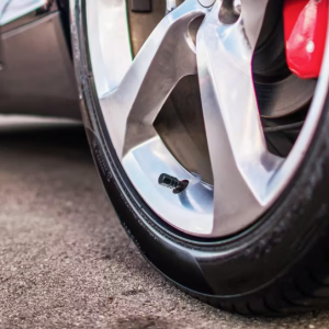 Auto või muu tehnika rehviventiilid, kuusnurkse kujuga, 4 tk