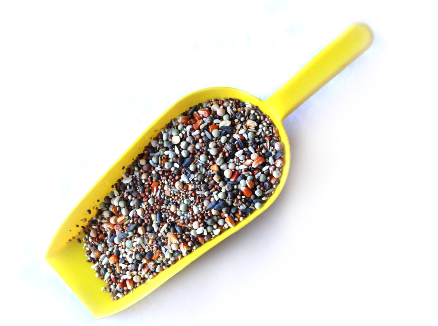 Täisväärtuslik sööda segu tuvidele – „R” aretuslik (reproduktiivne), 20 kg