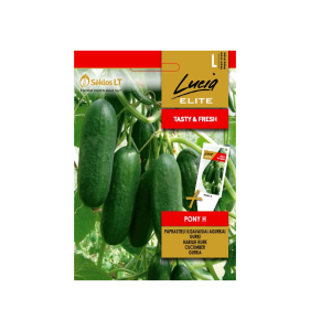 Hariliku pikaviljalise kurgi seemned PONY H