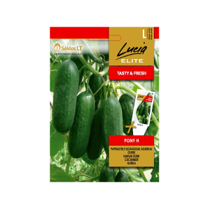 Hariliku pikaviljalise kurgi seemned PONY H