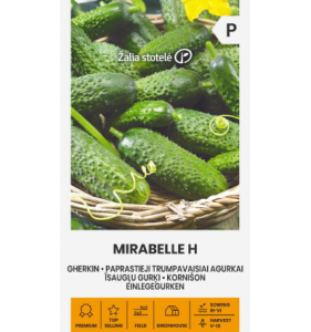 Hariliku lühiviljalise kurgi seemned MIRABELLE H