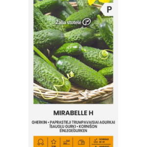 Hariliku lühiviljalise kurgi seemned MIRABELLE H