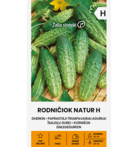 Hariliku lühiviljalise kurgi seemned RODNIČIOK NATUR H