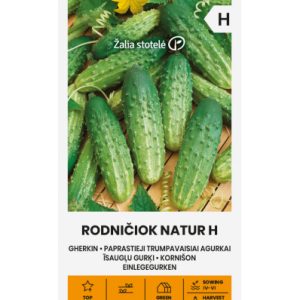 Hariliku lühiviljalise kurgi seemned RODNIČIOK NATUR H