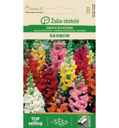 SUUR LÕVILÕUG RAINBOW