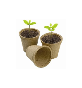 Turbapotid, 8 cm, 20 tk
