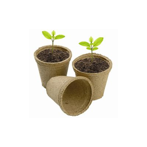 Turbapotid, 8 cm, 20 tk