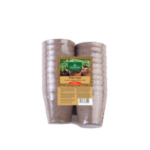 Turbapotid, 8 cm, 20 tk