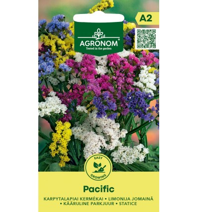 SULGJAS LIIVAS KERMIK PACIFIC