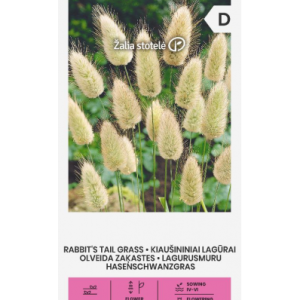 MUNAJAS LAGUUR RABBIT’S TAIL GRASS