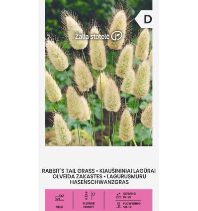 MUNAJAS LAGUUR RABBIT’S TAIL GRASS