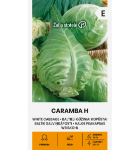 Valge peakapsa seemned CARAMBA H