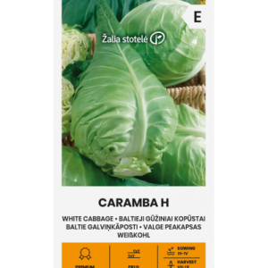 Valge peakapsa seemned CARAMBA H