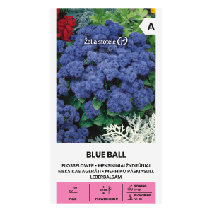 MEHHIKO AGERAAT BLUE BALL