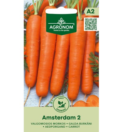Agronom söögiporgandi seemned AMSTERDAM 2