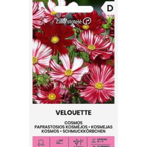 HARILIK KOSMOS VELOUETTE
