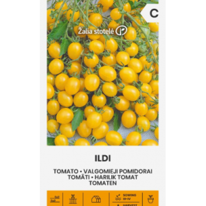 Söögitomati seemned ILDI