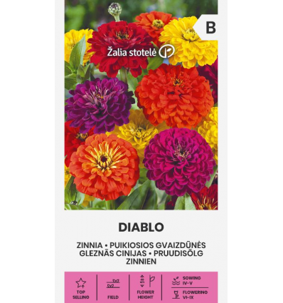 SUURED DAALIAÕIELISED TSINNIAD DIABLO