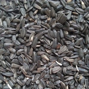 Päevalilleseemned lindudele, mustad ja väikesed, 20 kg
