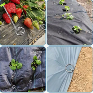 Metallist kinnitustihvtid rõngaga (agrokilele, katteloorile, võrgule), 10 tk