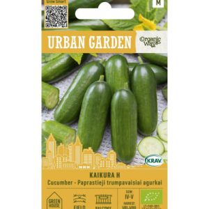 Harilik kurk, lühiviljaline KAIKURA H