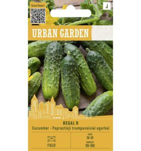Harilik kurk, lühiviljaline REGAL H