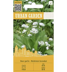 Karulauk BEAR GARLIC