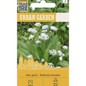 Karulauk BEAR GARLIC