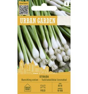 Talibul (kevadine sibul) STRADA