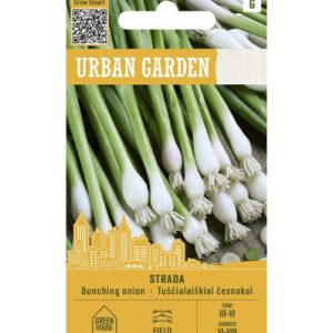 Talibul (kevadine sibul) STRADA