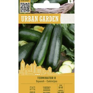 Suvikõrvits TERMINATOR H