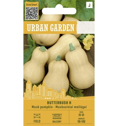 Kõrvits BUTTERBUSH H