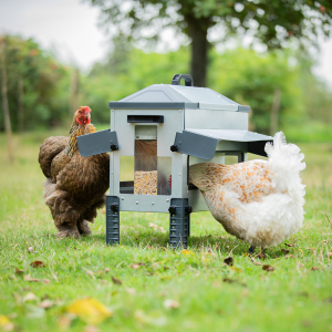 ROBUST avatud metallist kahepoolne söötur – mõeldud partidele, hanedele ja kanadele, 18 kg