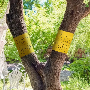 PUTUKAPÜÜDJA – KAHEPOOLNE KLEEPUV LINT PUTUKATE, LEHETÄIDE JA TEISTE KAHJURITE PÜÜDMISEKS, 2,2 M