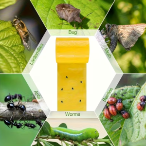 PUTUKAPÜÜDJA – KAHEPOOLNE KLEEPUV LINT PUTUKATE, LEHETÄIDE JA TEISTE KAHJURITE PÜÜDMISEKS, 2,2 M