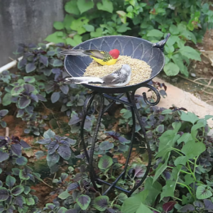 Metallist linnusöötja – jalaga kauss