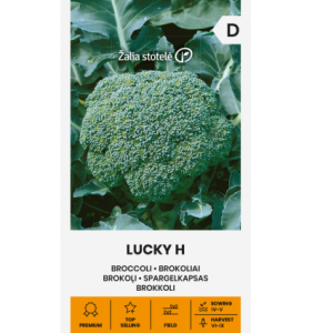 BROKOLI LUCKY H