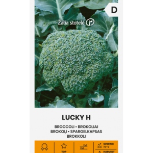 BROKOLI LUCKY H