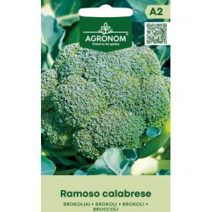 BROKOLI RAMOSO CALABRESE