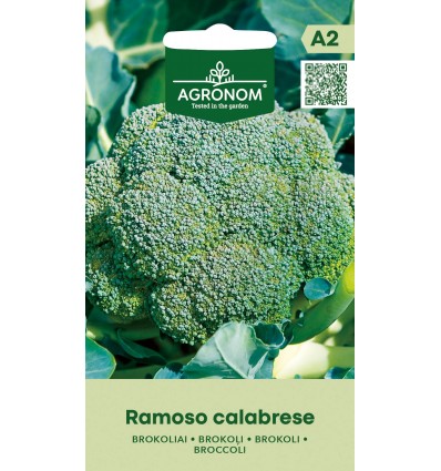 BROKOLI RAMOSO CALABRESE