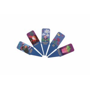 MINI KASVATUSKOMPLEKT KAKĖ MAKĖ SODOLENDAS