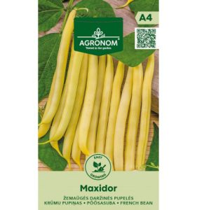 Aeduba spargeluba MAXIDOR